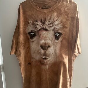 The Mountain Earthy Brown T-Shirt